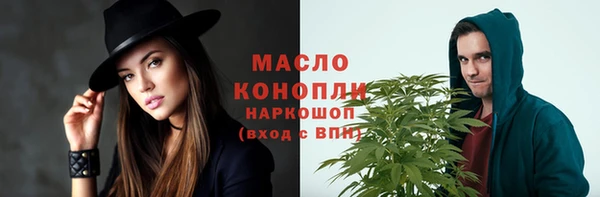 гашик Инсар