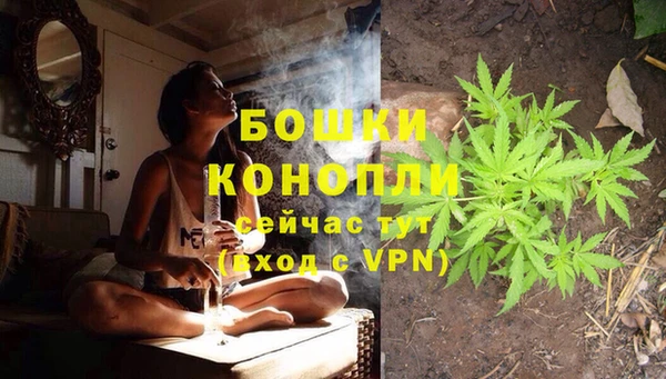 ПСИЛОЦИБИНОВЫЕ ГРИБЫ Протвино