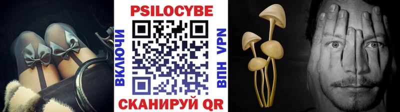 OMG рабочий сайт  что такое наркотик  Сосенский  Галлюциногенные грибы Magic Shrooms 